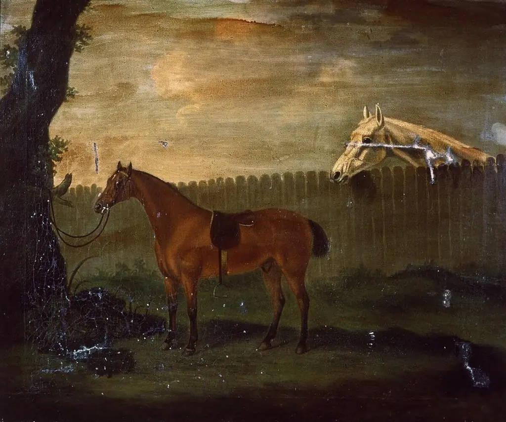 Portrait of hunter tied to tree