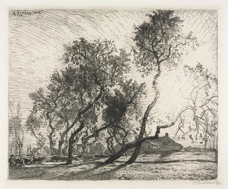 Farm with Poplar Trees of Holland, by Auguste Lepère, 1914
