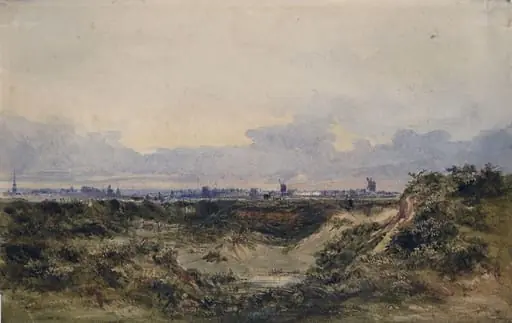 Heath Scene