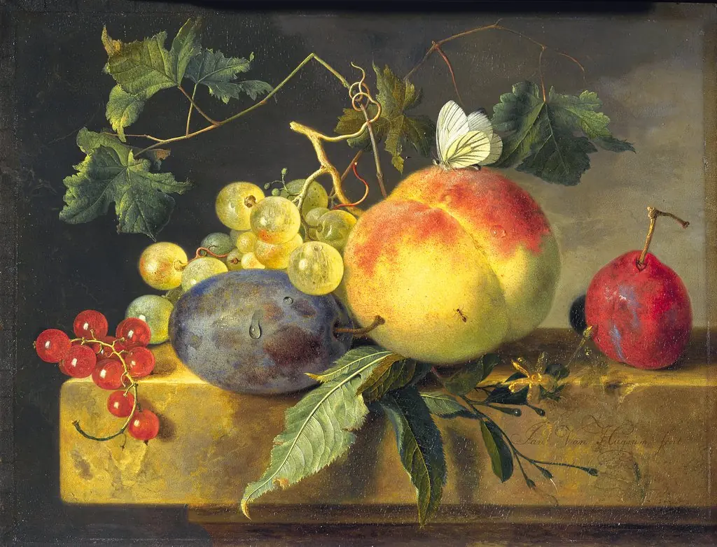 Fruit Still Life