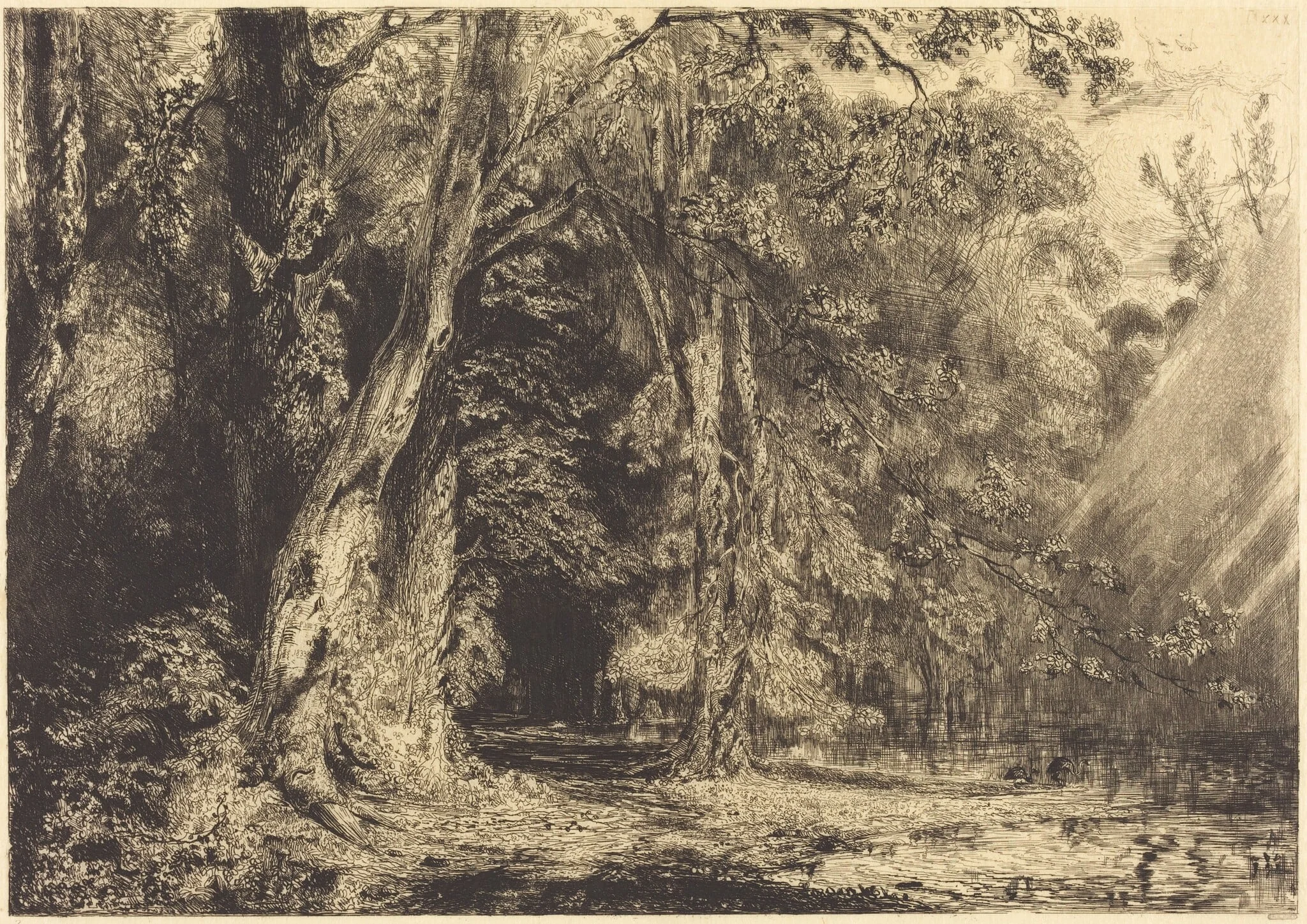 Flooding in the Forest of the Ile Séguin, by Paul Huet, ink, 1833
