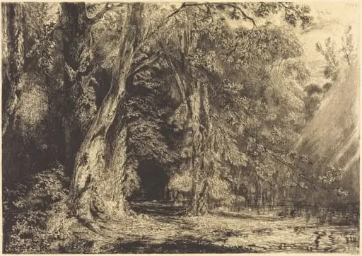 Flooding in the Forest of the Ile Séguin