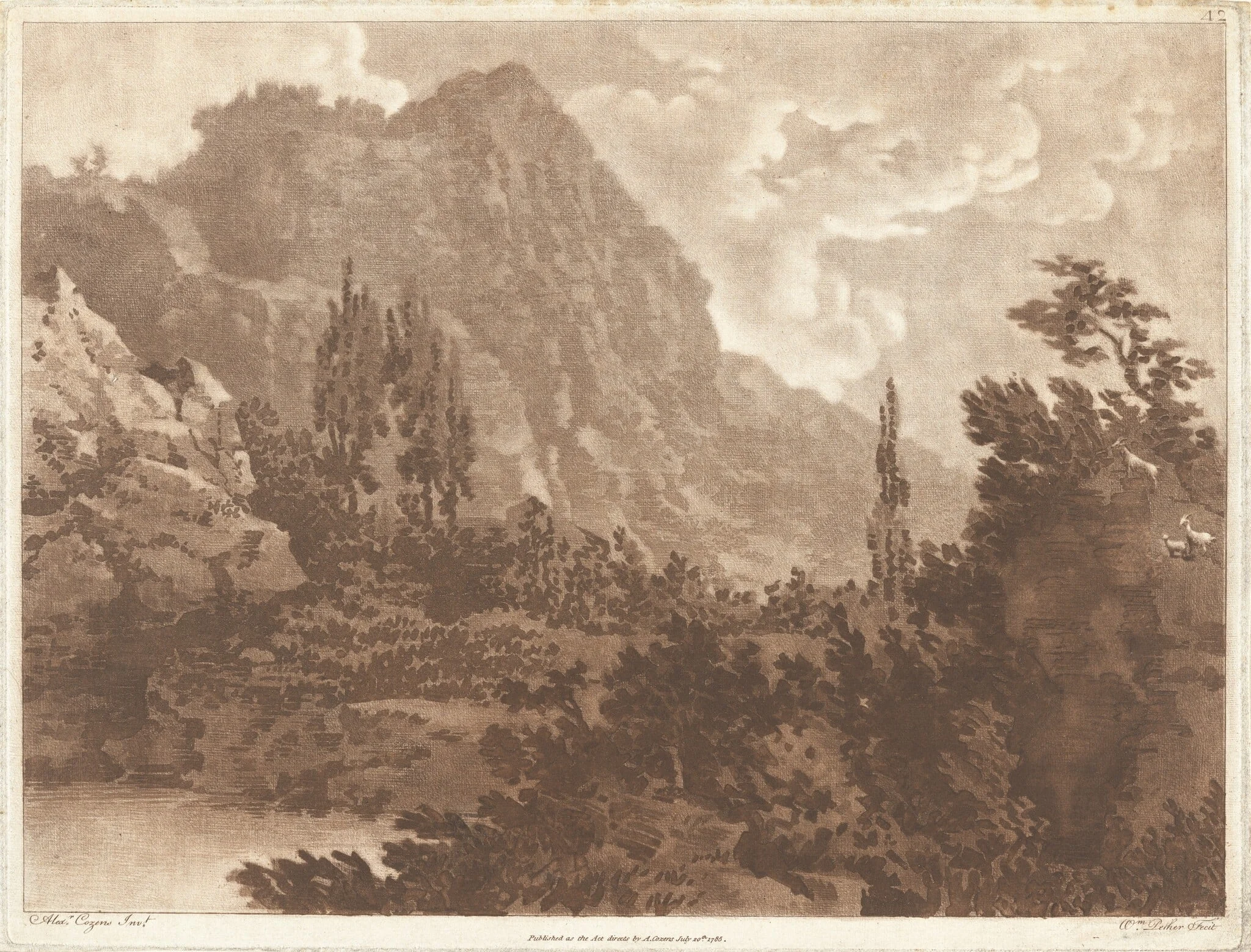 A second drawing done from the same blot