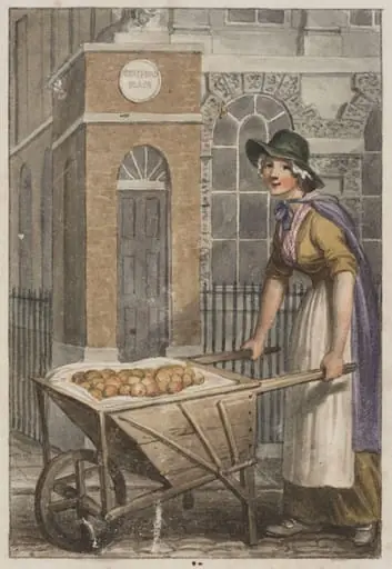 Baking Or Boiling Apples! Dumpling Apples!