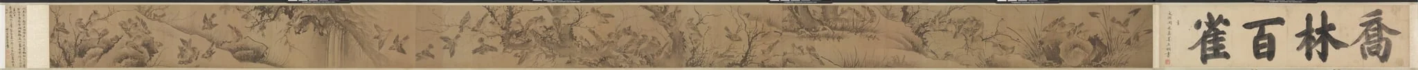 A Hundred Sparrows in a Lofty Grove