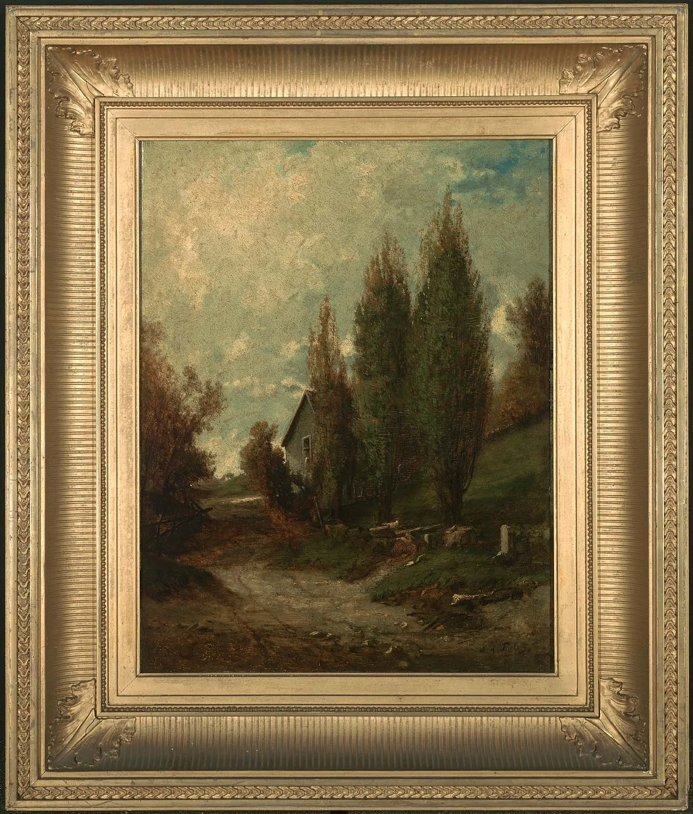 Poplar Trees
