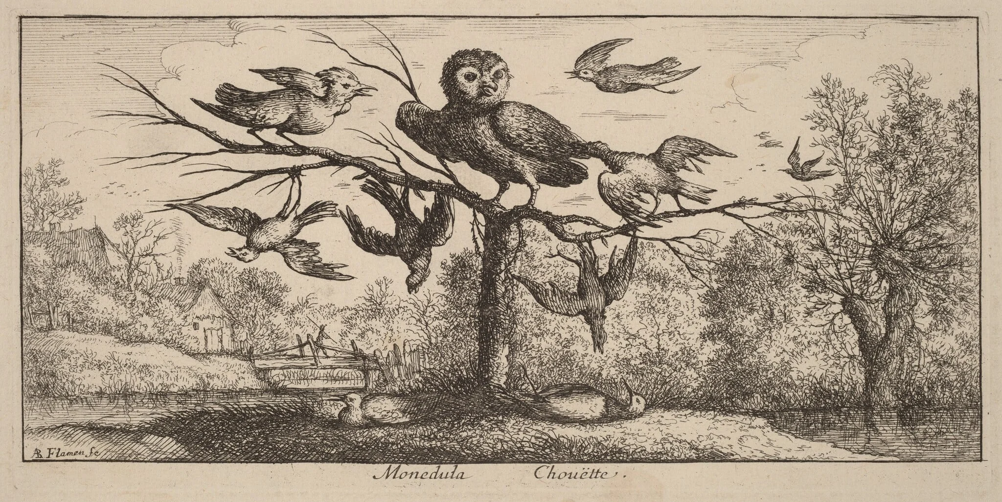 Monedula, The Owl, by Albert Flamen, ink, 1644