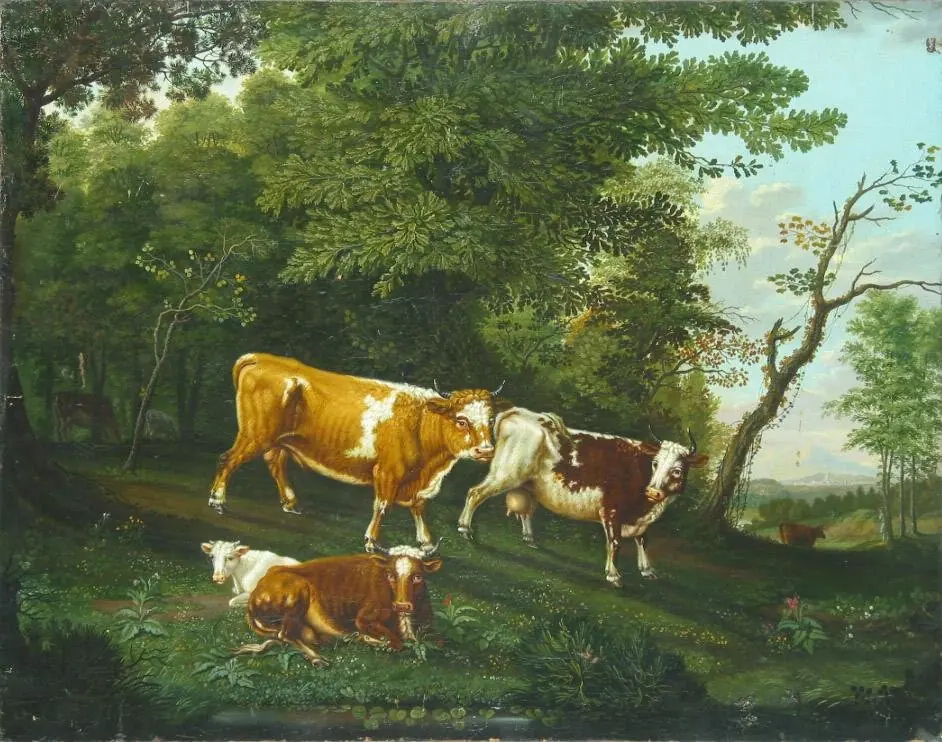 Cows
