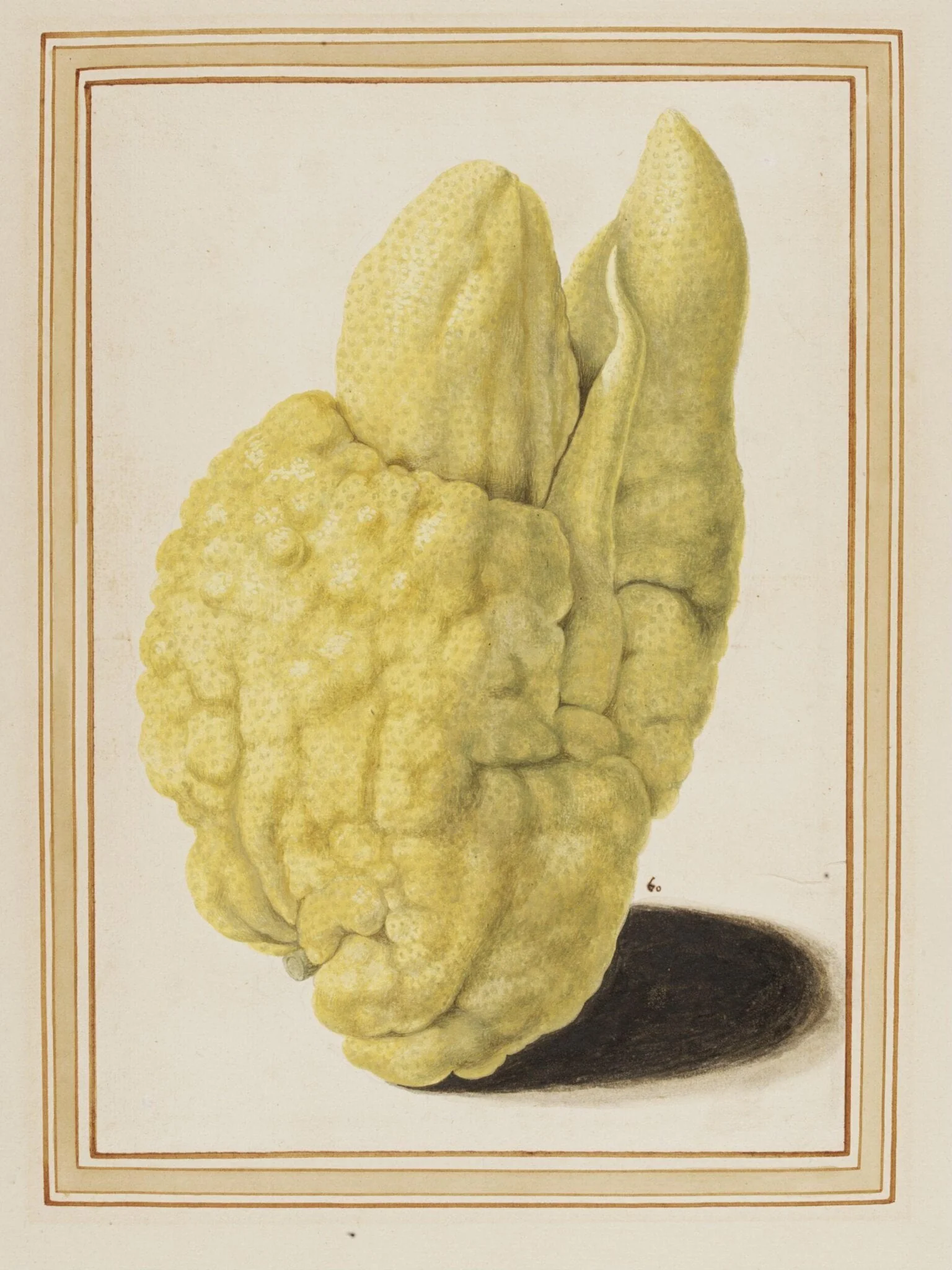 Citron