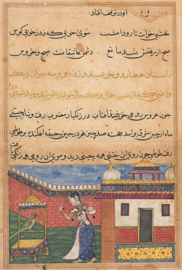 The parrot addresses Khujasta at the beginning of the thirty-second night, from a Tuti-nama (Tales of a Parrot), by Unknown, unspecified, 1560