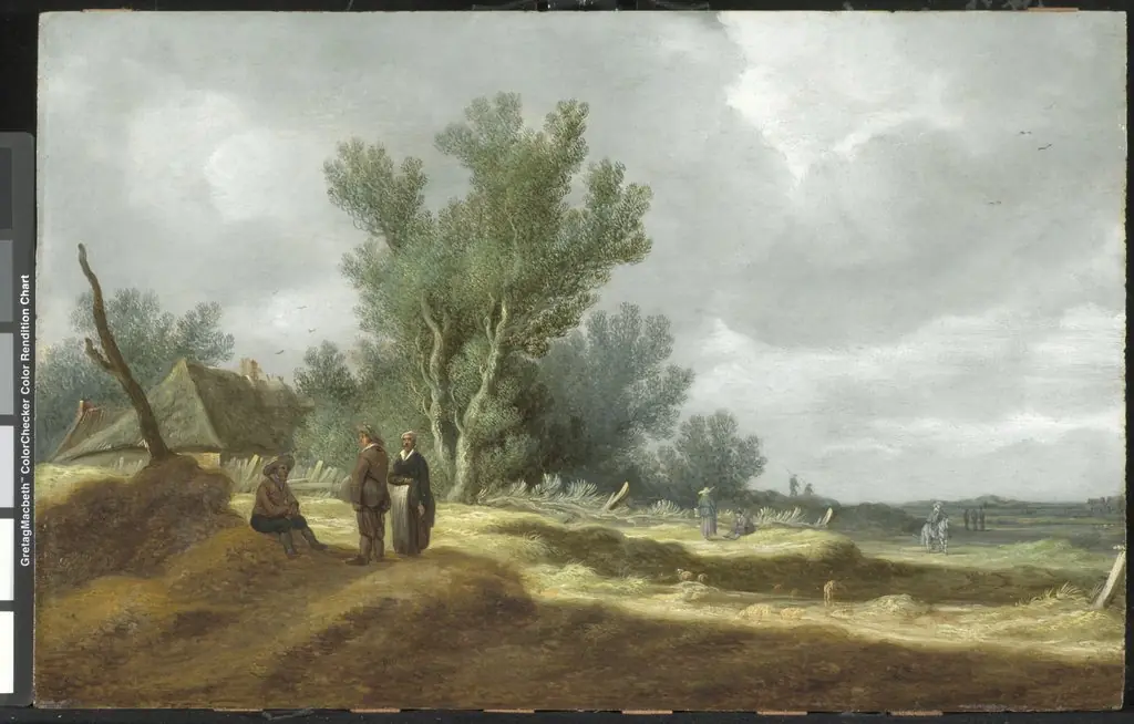 Dune Landscape