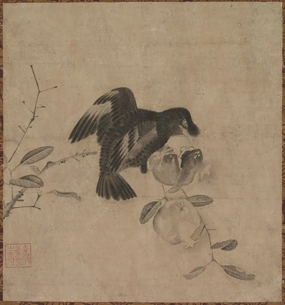 Crow on a Pomegranate