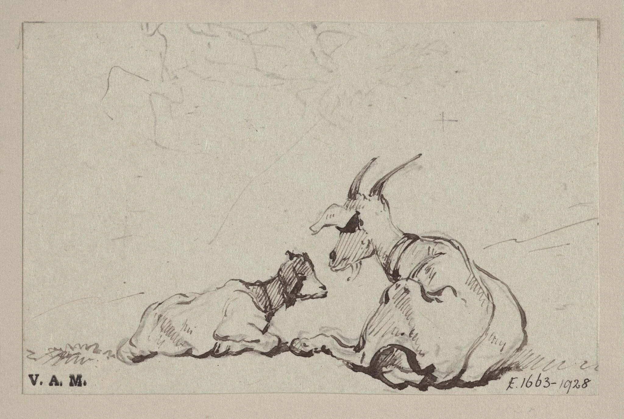 Two goats, by George Chinnery, 19