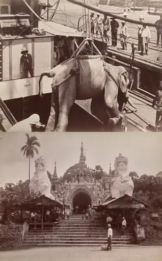 Untitled: (elephant being loaded onto a ship, recto); (steps and building, verso)