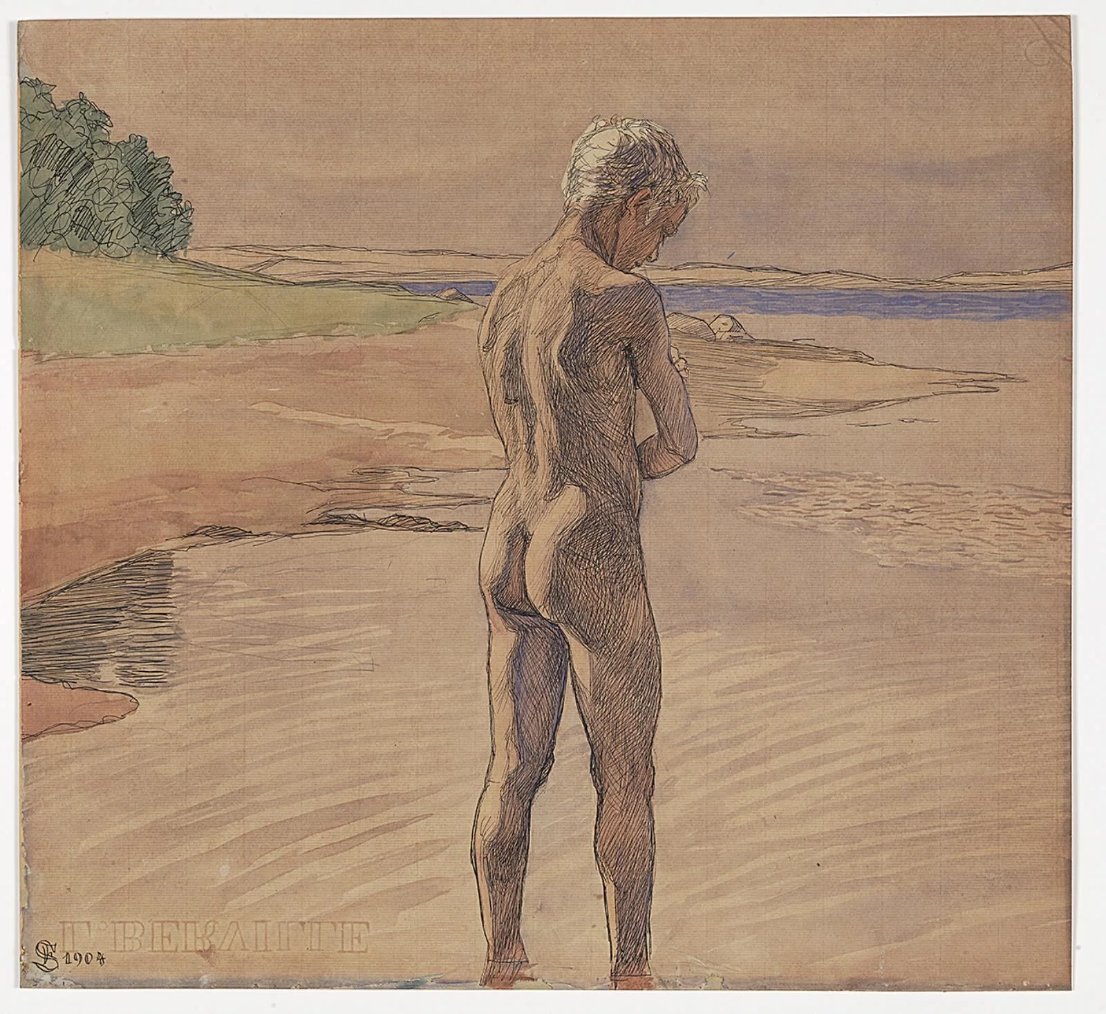 Hans stående i vandet. Motiv fra Fyns Hoved, by Unknown, unspecified, 1904