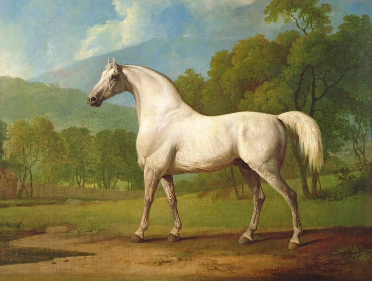 Mambrino, by George Stubbs, oil, 1797