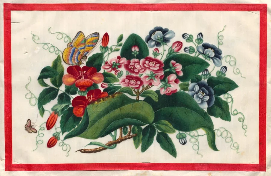 Painting Five from Illustrated Book of Flowers and Butterflies, by Unknown, unspecified, 1804