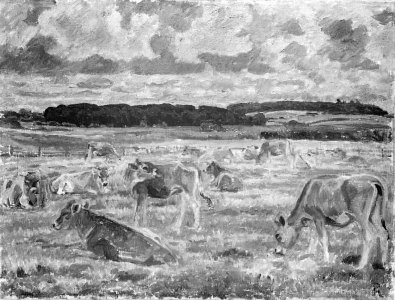 Jerseykøer, by Unknown, 1917