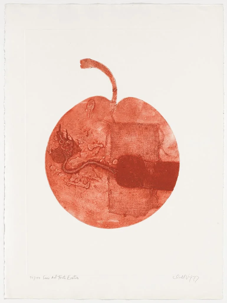 Untitled, by Isabel Vázquez, ink, 1978