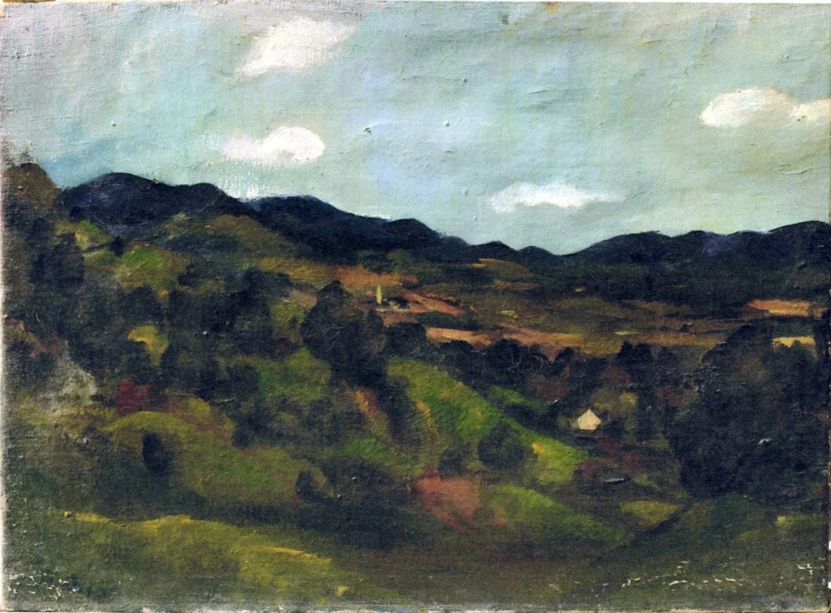 Peisaj
