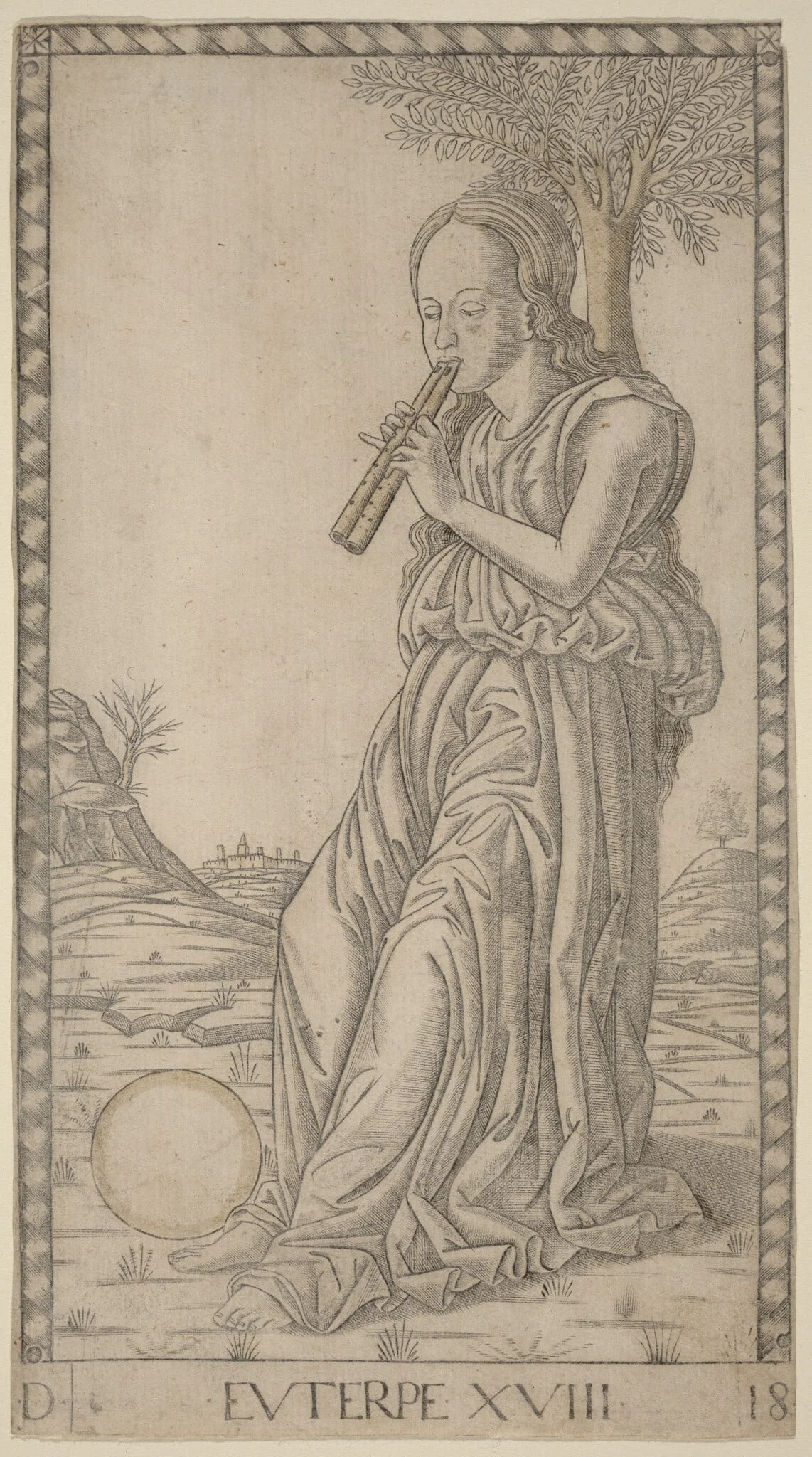 Euterpe