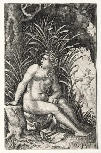 Procris