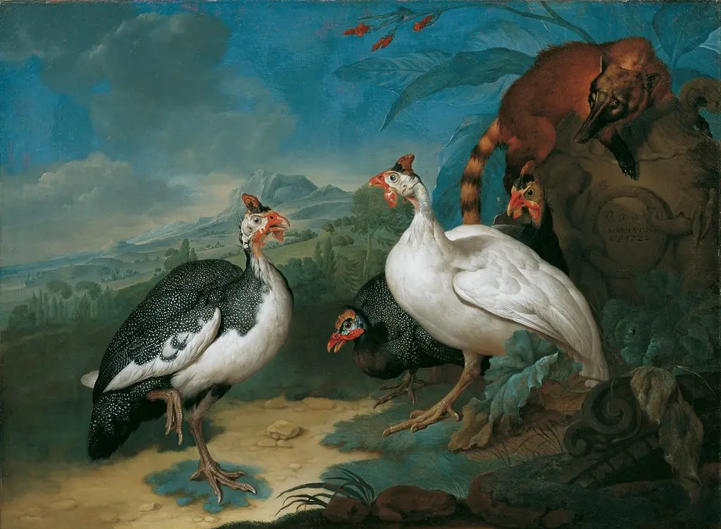 Q28002160