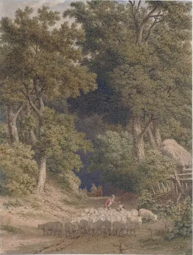 Country road leading from a wood, man driving a flock of sheep
