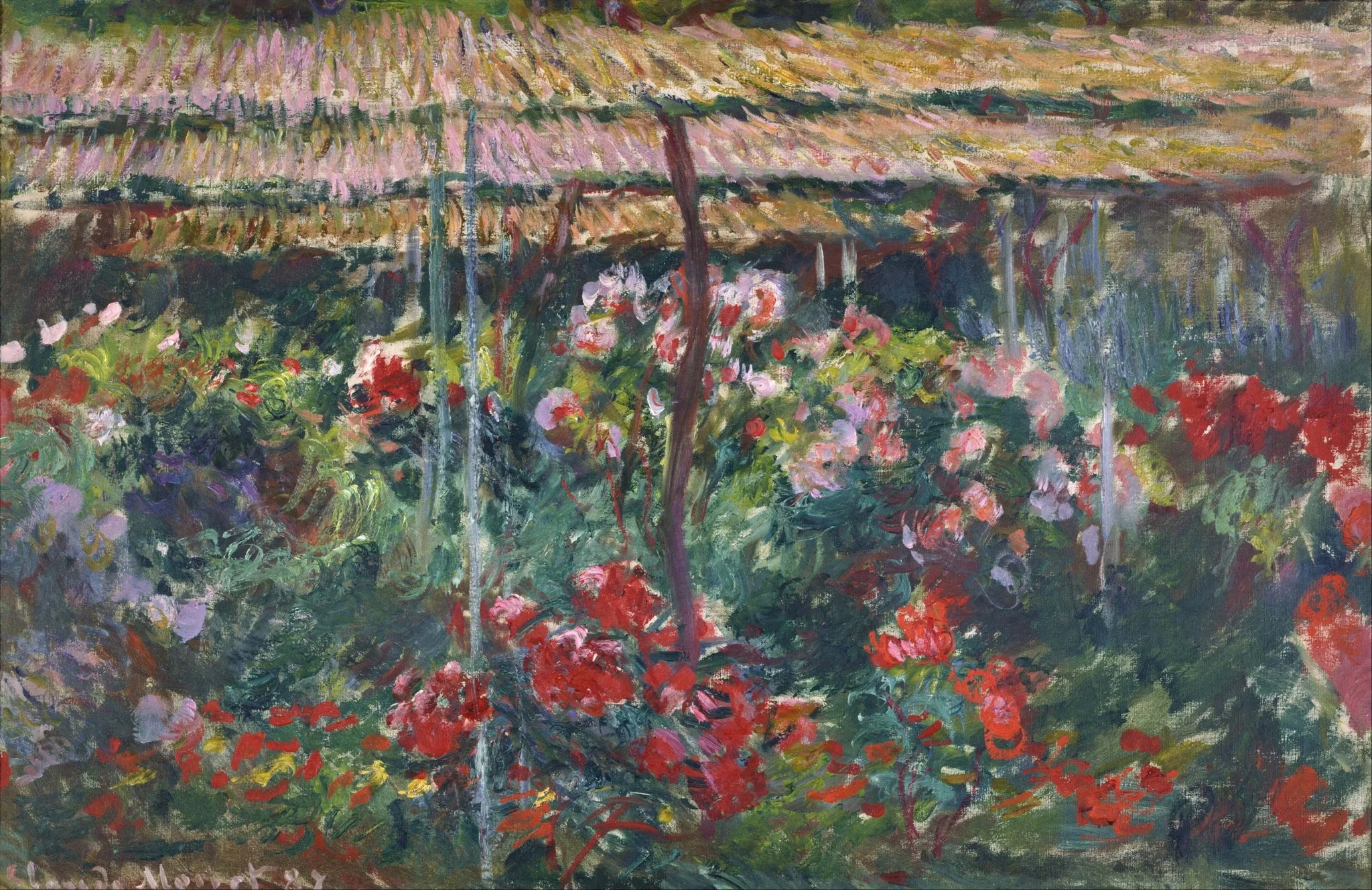 Peony Garden, by Claude Monet, oil, 1894