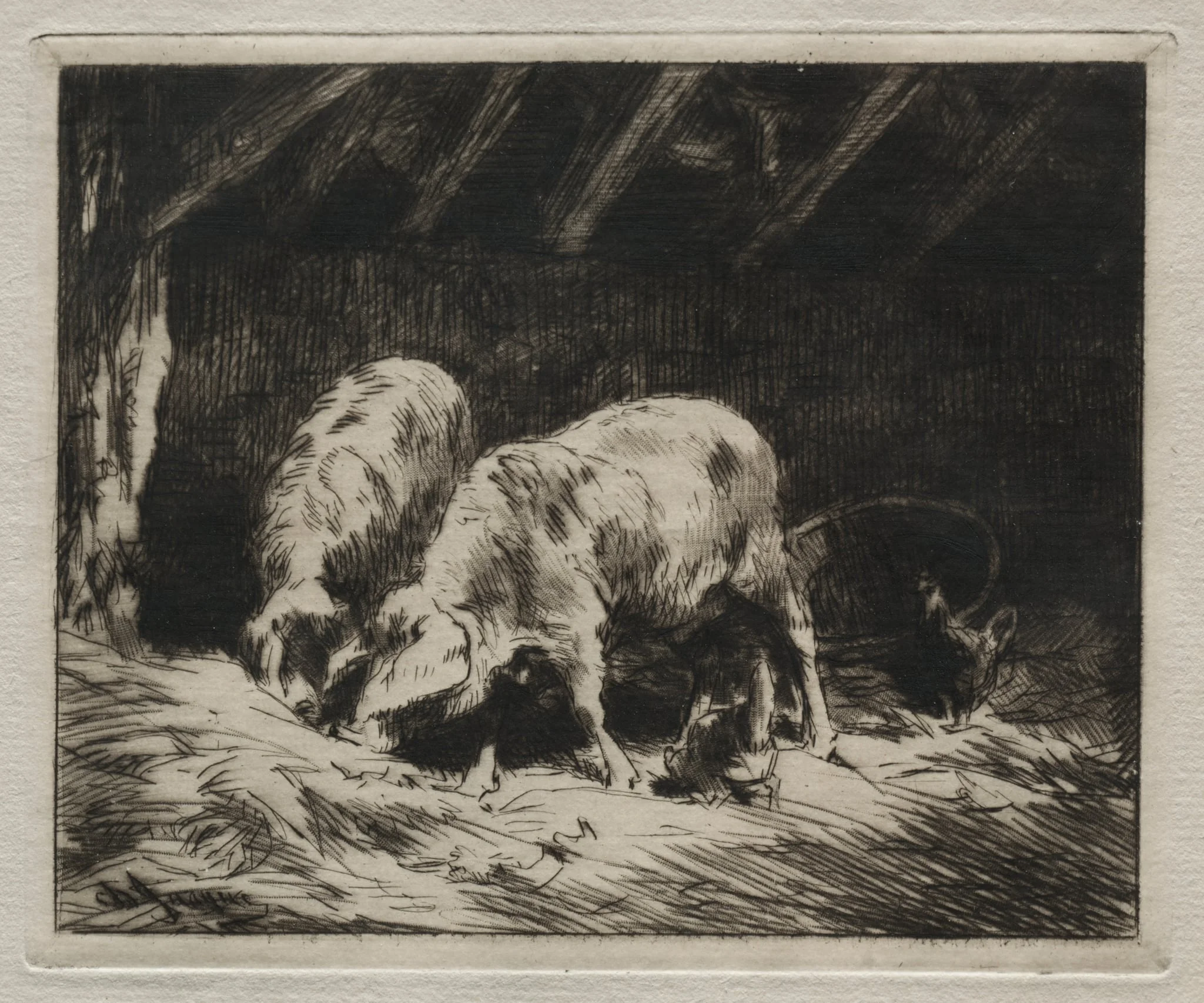 Two Pigs, by Charles Jacque, 1884
