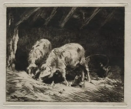 Two Pigs