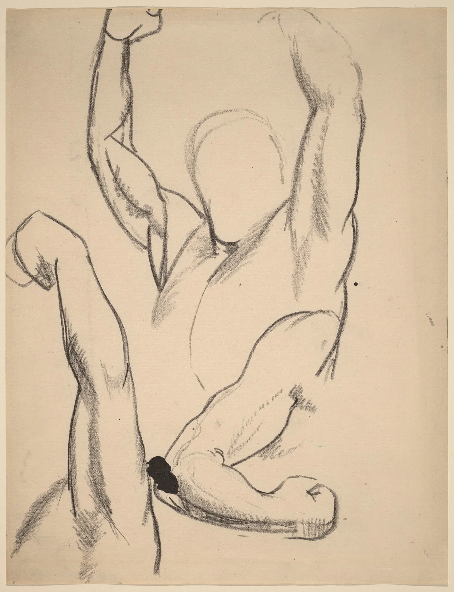 Arms of a Boxer
