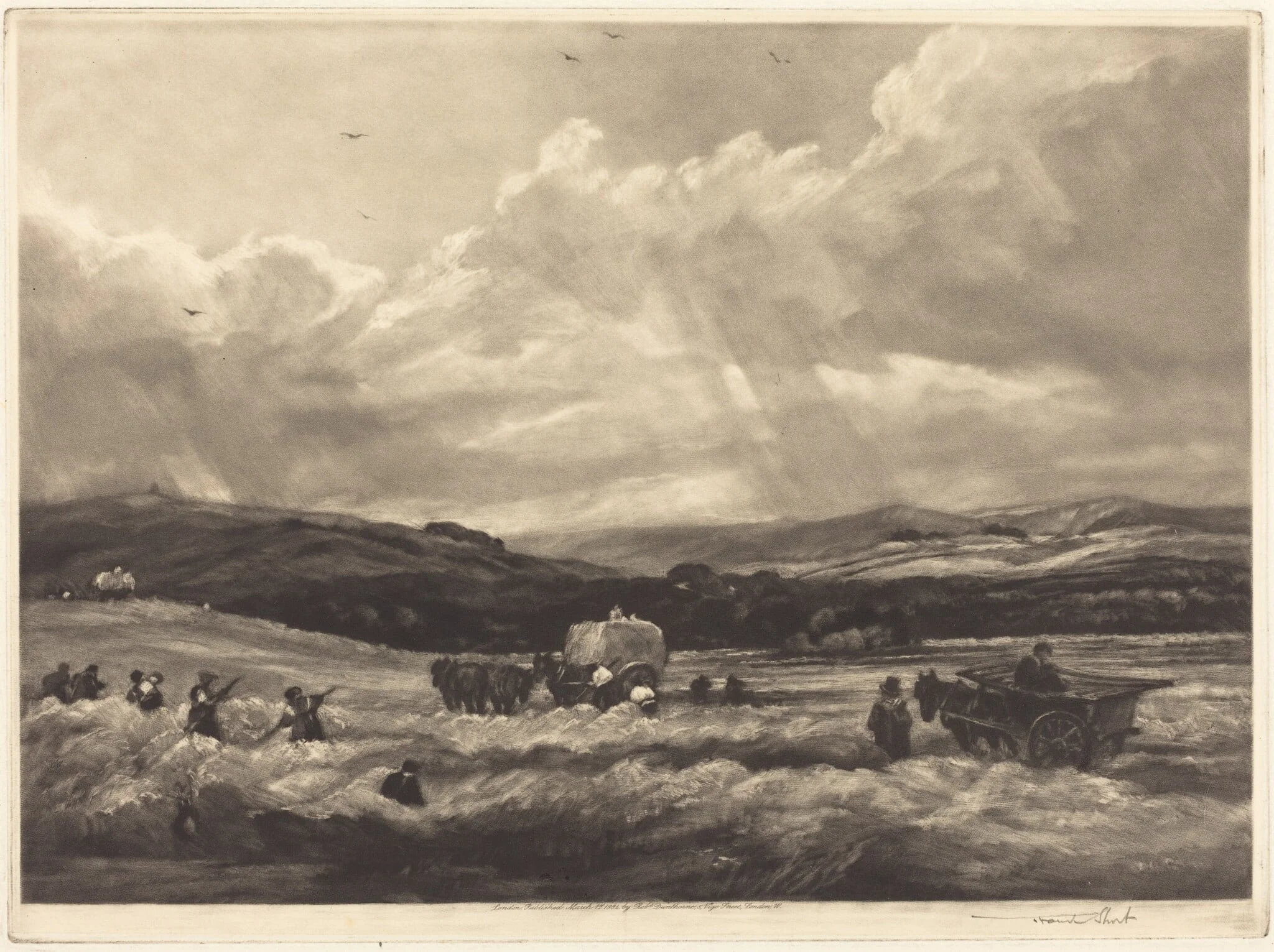 Hayfield in Yorkshire