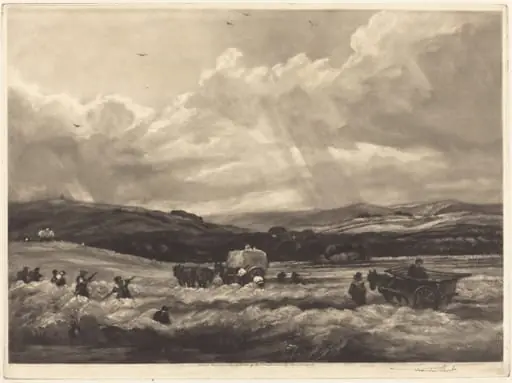 Hayfield in Yorkshire