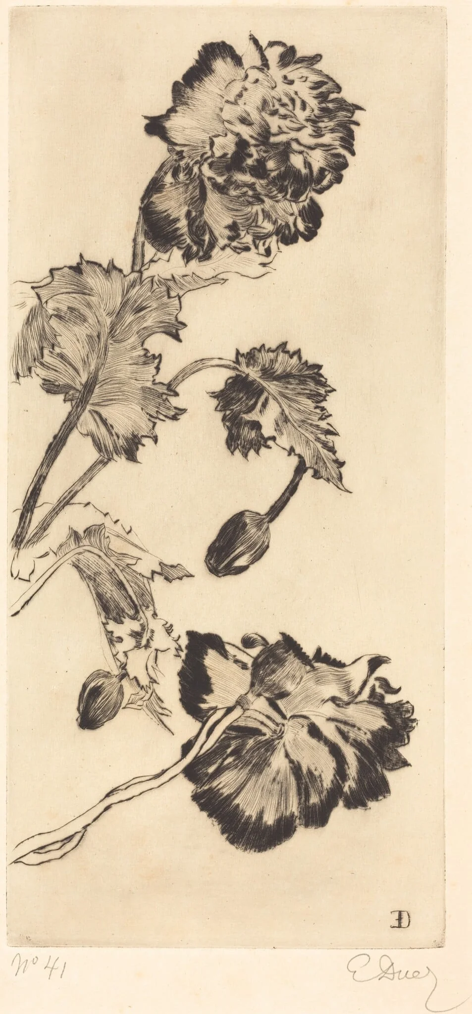 Flowers (Fleurs)