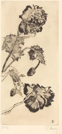 Flowers (Fleurs)