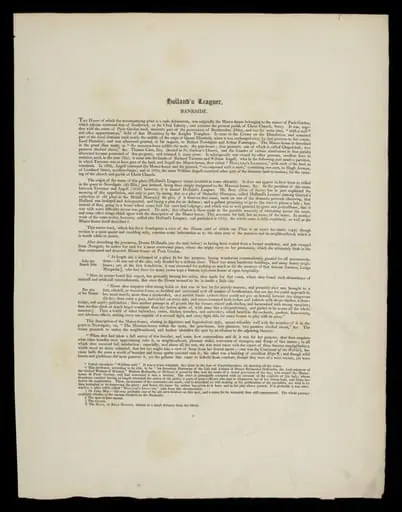 H Beard Print Collection