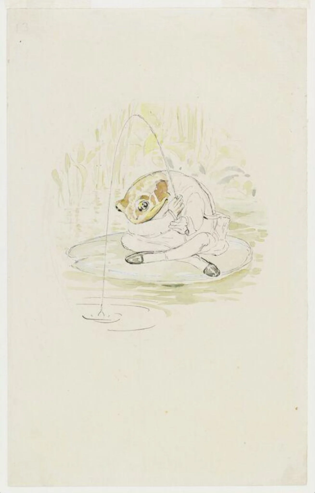 Jeremy Fisher sitting fishing on a waterlily leaf: preparatory drawing for The tale of Mr. Jeremy Fisher, by Beatrix Potter, watercolor, 1906