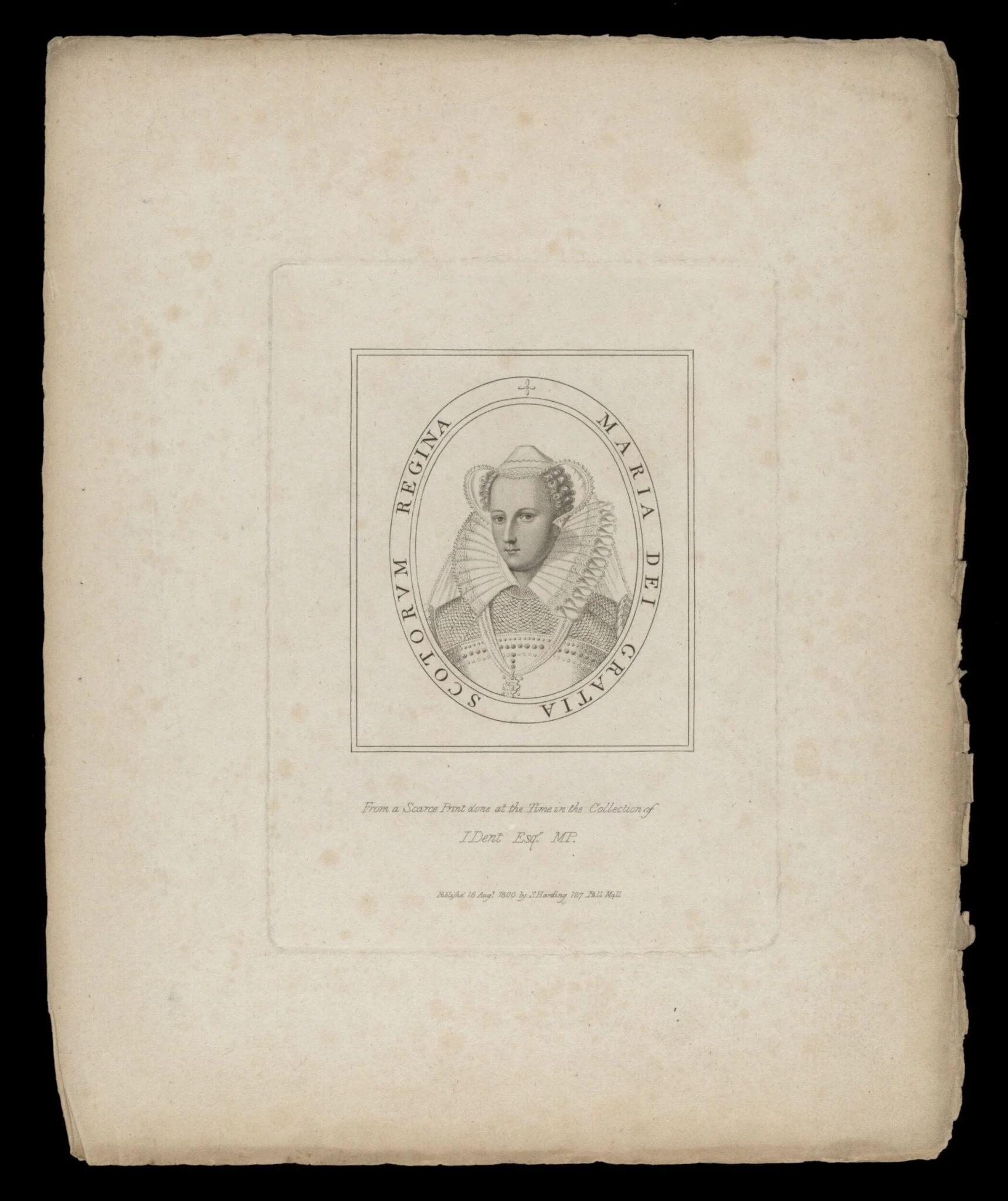 H Beard Print Collection