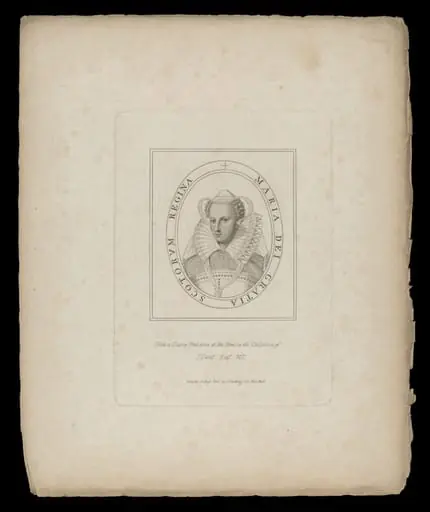 H Beard Print Collection