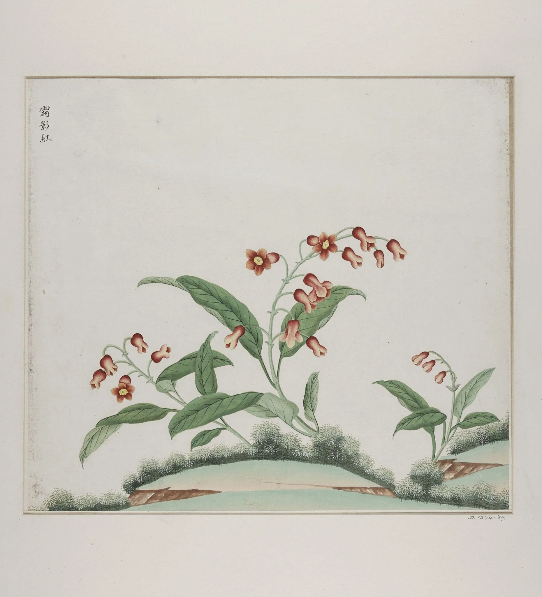 xiang ying hong, by Unknown, paint, 1780