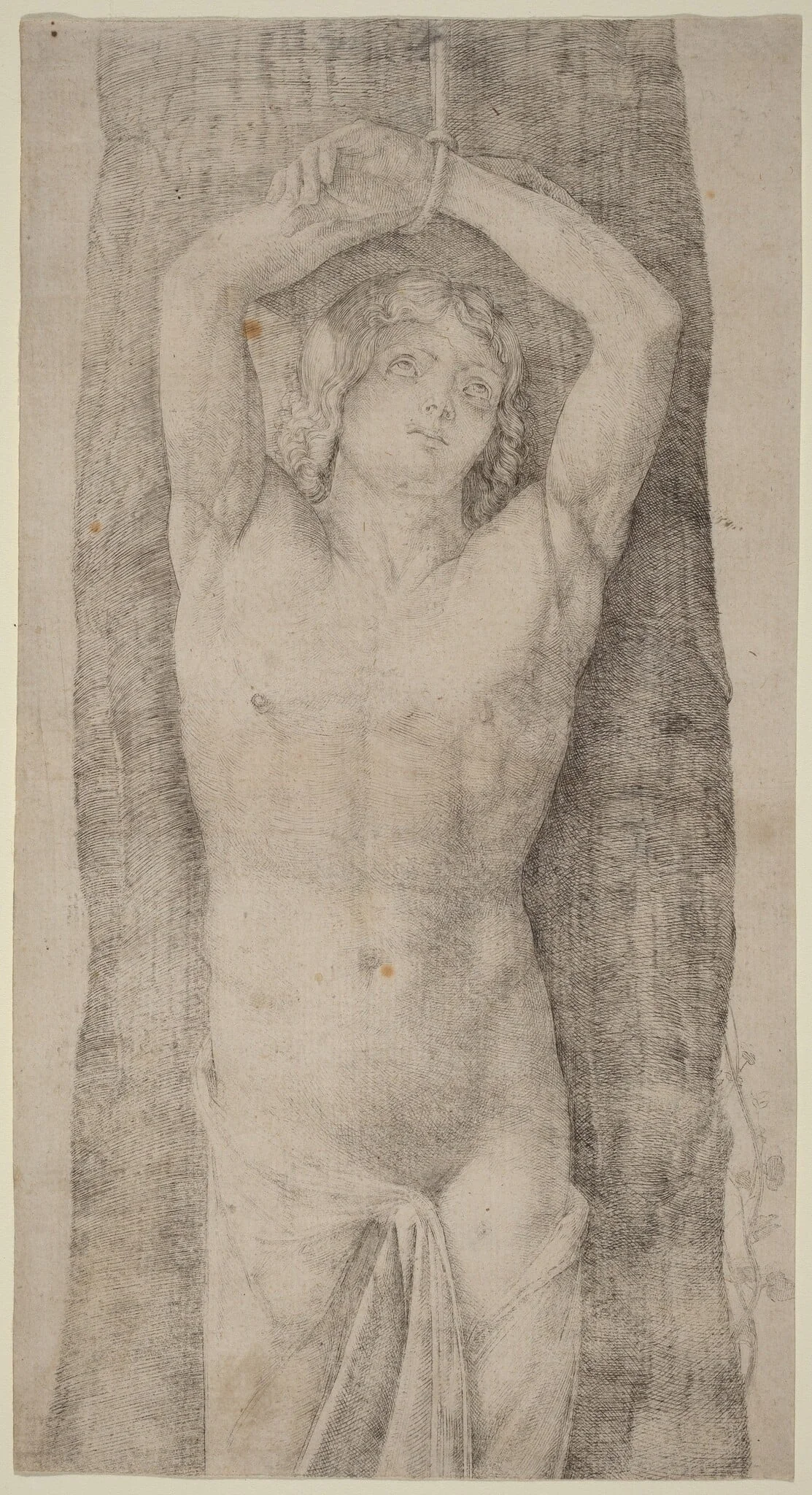 Saint Sebastian, by Jacopo de' Barbari, ink, 1509