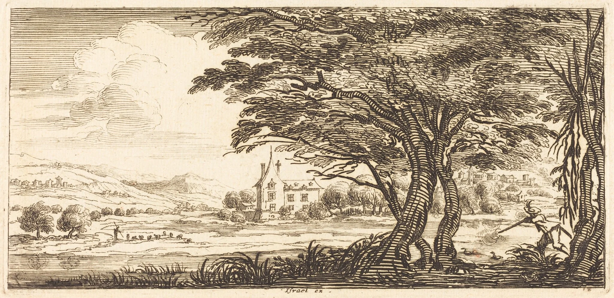 Landscape
