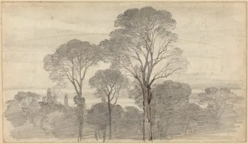 An Evening Landscape with Tall Trees