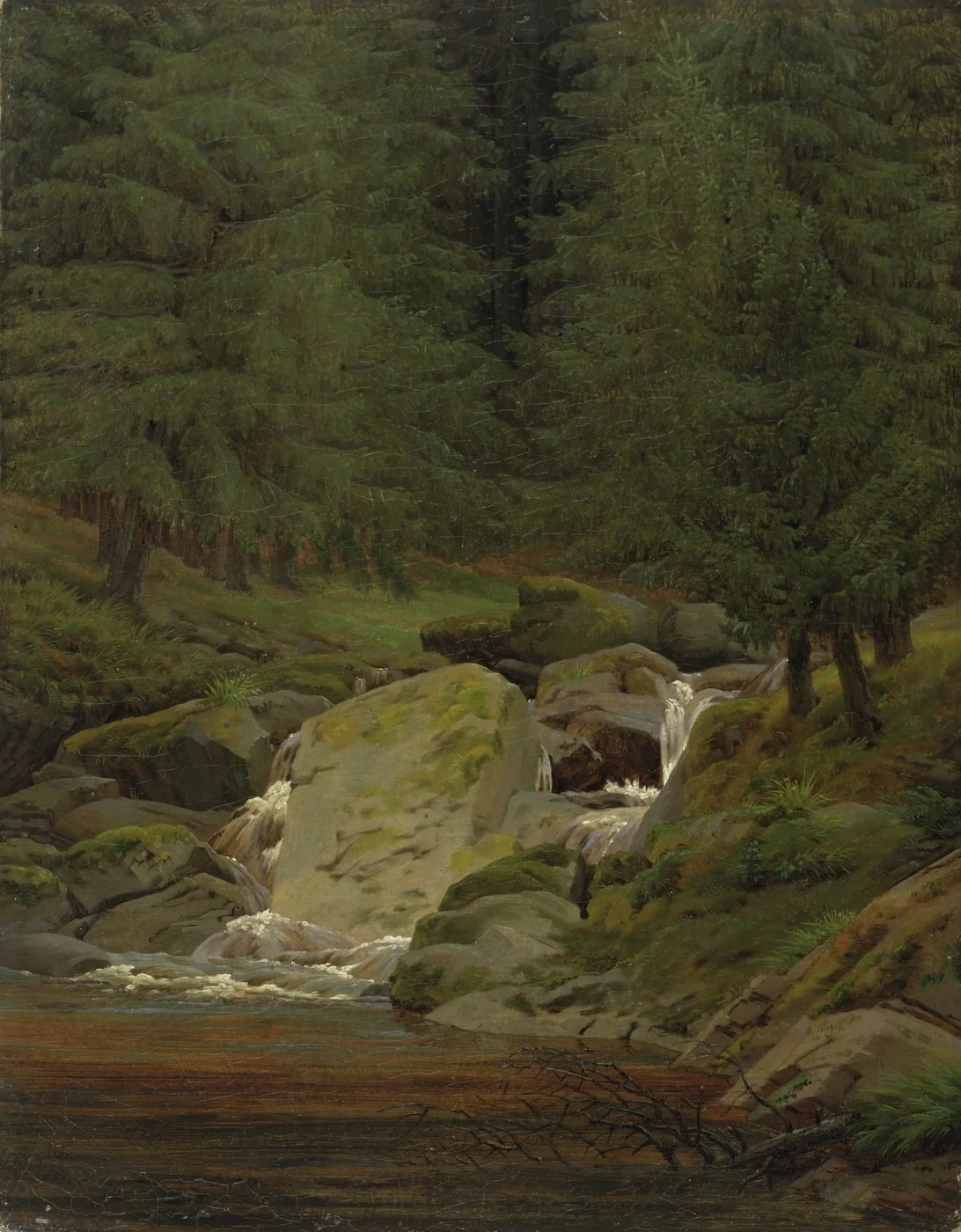 The Evergreens by the Waterfall