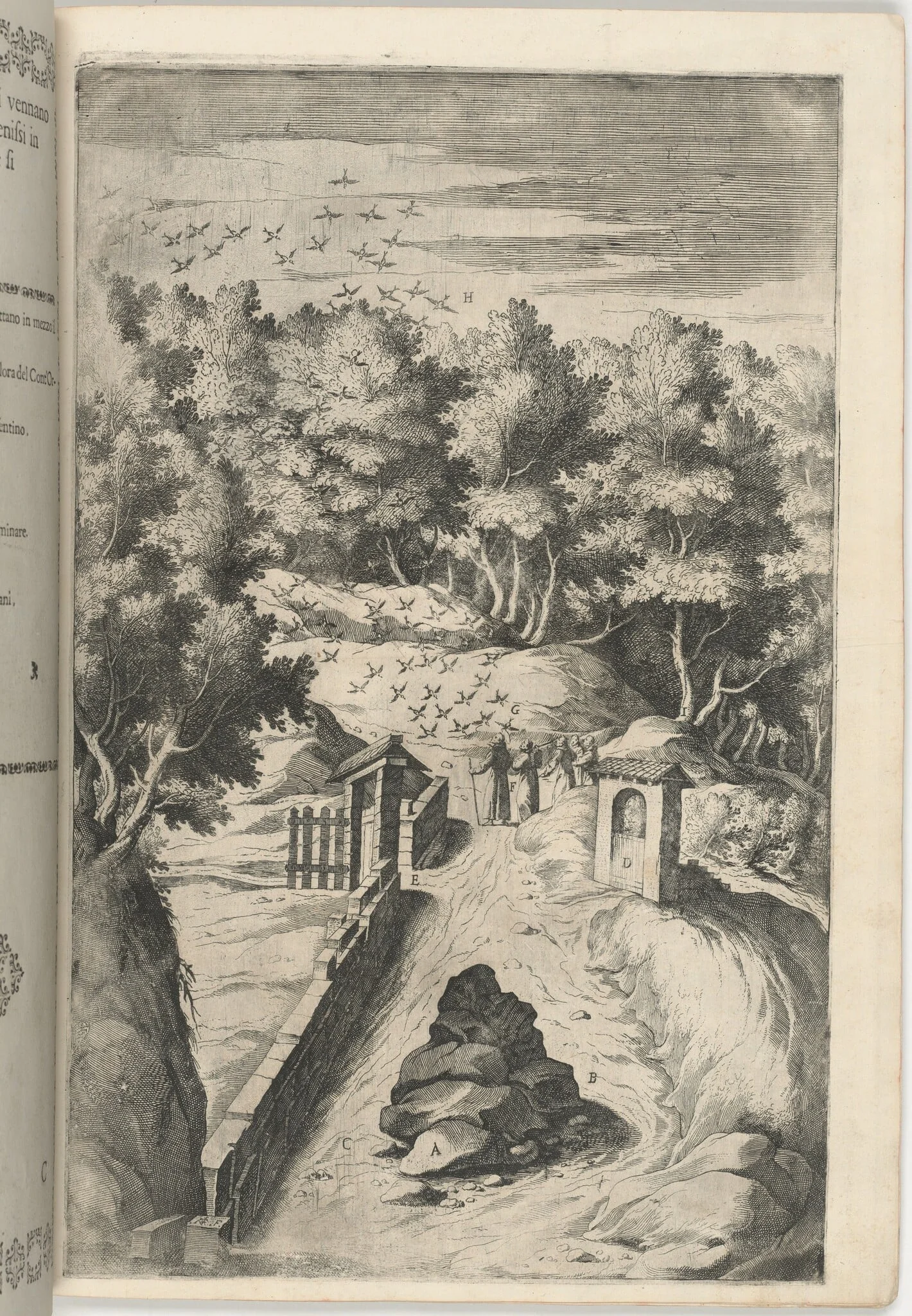 The Salutation of the Birds (Il Saluto degli uccelli) [plate C], by Jacopo Ligozzi, ink, 1612