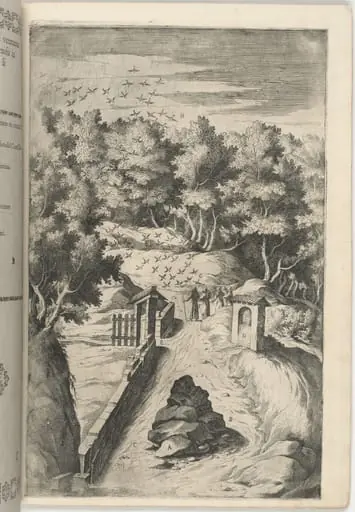 The Salutation of the Birds (Il Saluto degli uccelli) [plate C]