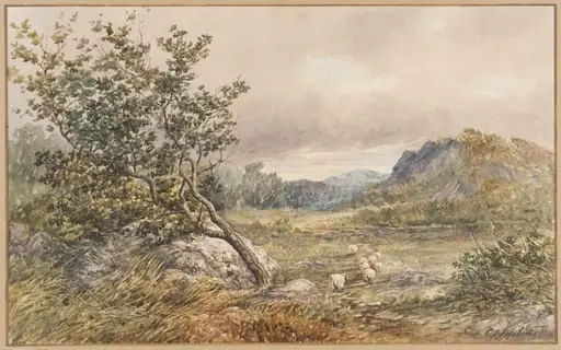 Pen-Craig, near Bettws-Y-Coed, North Wales