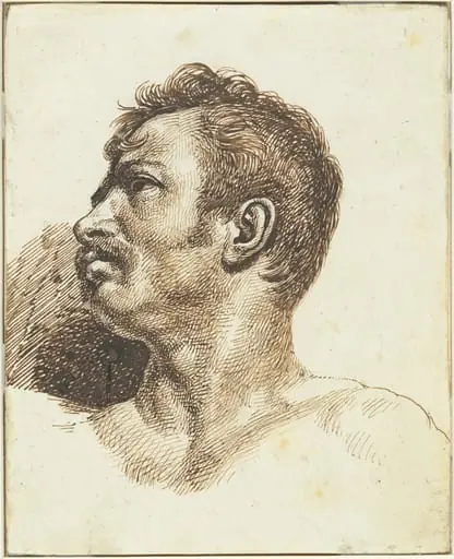 Head of a Man [recto]