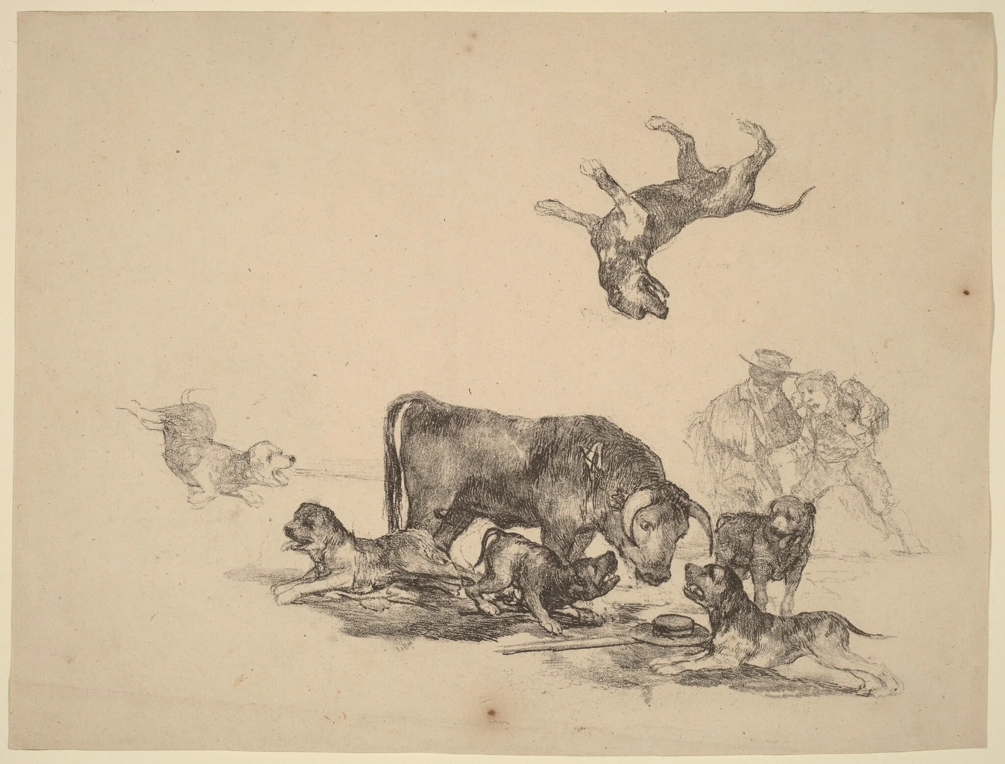 Bull Attacked by Dogs, by Francisco Goya, ink, 1825